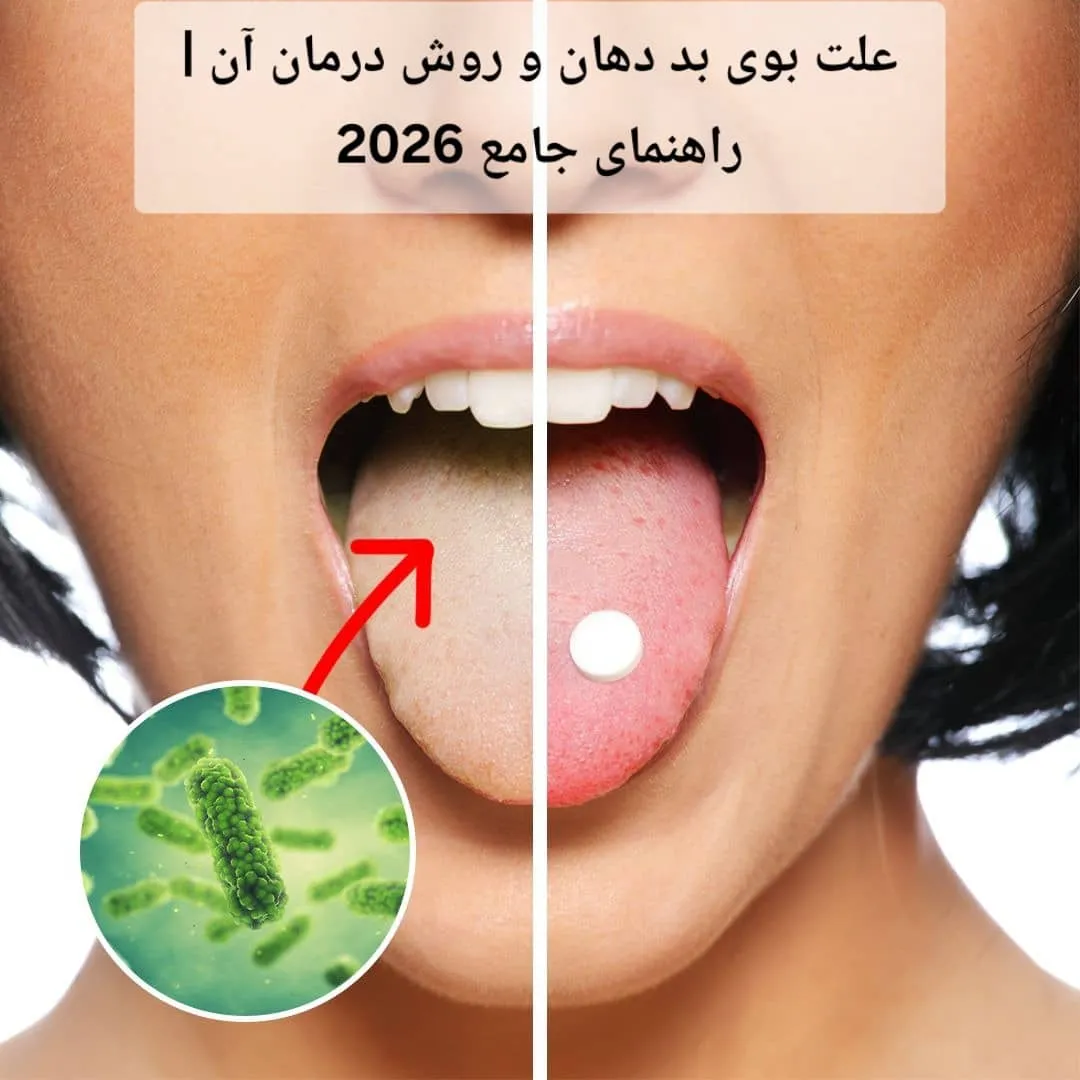 WhatsApp Image 2026 01 04 at 19 49 05 14 11zon